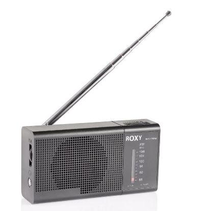 ROXY RXY-170FM CEP TİPİ MİNİ ANALOG RADYO resmi