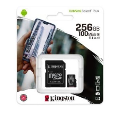 Kingston SDCS2/256GB 256GB micSDXC Canvas Select P resmi