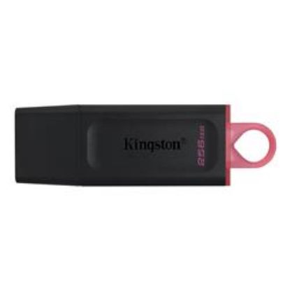 KINGSTON DTX/256GB 256GB USB3.2 (POŞETLİ) resmi