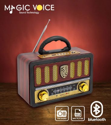 MAGICVOICE MV-114BT USB/SD/FM/BLUETOOTH DEST RADYO resmi